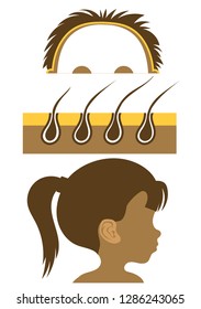 Vector illustration Flat cartoon style. Schematic representation of a man’s head, skin and hair.
