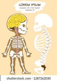 Vector illustration. Flat cartoon style. Silhouette of a child with the image of the skeleton, spine, spinal cord and brain. Textbook for children.