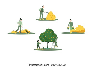 Ilustración vectorial al estilo de las caricaturas planas. Diferentes personas recogiendo frutas y bayas, quitan heno y hojas. Hombres y mujeres trabajan en una granja, en los huertos. Los trabajadores agrícolas cosechan en otoño.