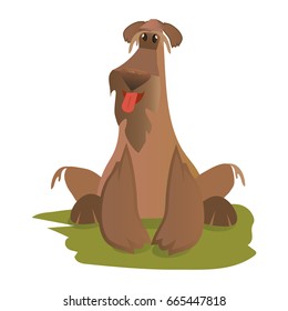 Vector illustration in a flat cartoon style: happy shaggy dog sitting on a grass.
