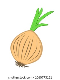 Vector illustration, flat cartoon unpeeled raw bulb of onion isolated on white background