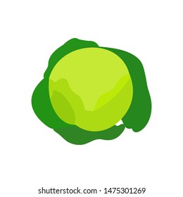 Vector illustration of flat colorful cabbage. Vector vegetable.