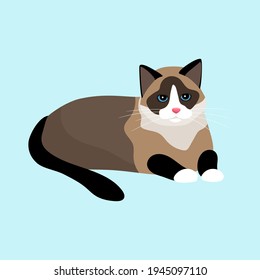 vector illustration flat cute grumpy cat