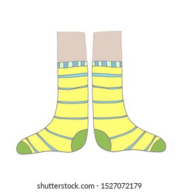 Vector illustration flat design colorful socks isolated on white background. Textile warm clothes socks pair cute decoration wool winter clothing. Sport season collection