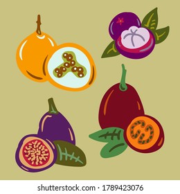 Vector illustration in flat design. Colorful tropical fruit sketch isolated on a khaki background. Mangosteen, passion fruit, figs and tamarillo doodle in minimalistic style