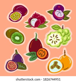 Vector illustration in flat design. Colorful tropical fruit sketch isolated on a melon background.Lychee, passion fruit, kiwi, custard apple, Mangosteen, figs and tamarillo doodle