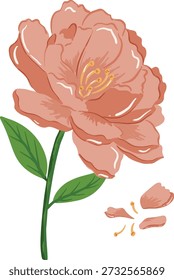 Vektorgrafik von flachen Design Pfingstrosen für Grußkarte, Poster, Symbol, Hochzeitseinladung, und so weiter