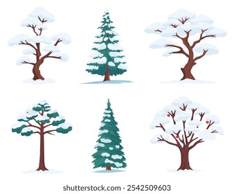 A ilustração vetorial em um estilo de desenho plano mostra seis árvores diferentes cobertas de neve. Spruce, pinheiro, macieira, carvalho. As árvores variam em forma e tipo, incluindo coníferas e decíduas