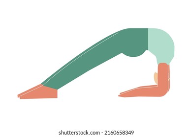 Vector illustration with flat female character. Sportive woman learns posture with backbend and does Dwi Pada Viparita Dandasana at yoga class. Fitness exercise - Upward Facing Two-Foot Staff Pose