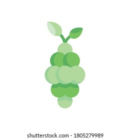 Vector Illustration Flat Green Grapes isolated on white background , minimal style , Raw materials fresh fruit