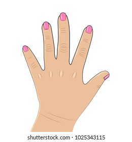 vector illustration. Flat hands. Fingers. Nails.