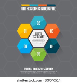 Vector illustration of flat hexagon infographic design element.