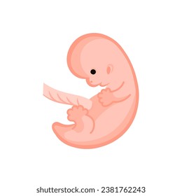 vector illustration. Flat icon pregnancy 8 week