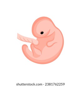  vector illustration. Flat icon pregnancy 7 week