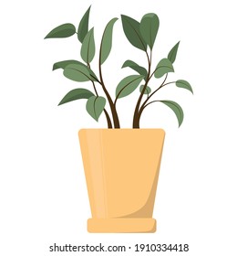 Vector illustration of flat Indoor green plant in a yellow pot. Potted plant for interior, office design on white background.