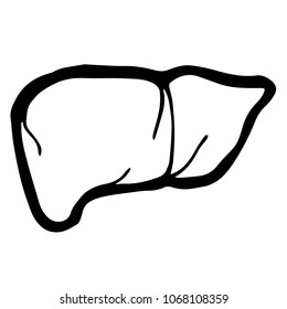 Vector Illustration Flat Line Icon, Sign, Symbol of Healthcare Medical Liver Human Body Part. Graphic Design Abstract Art, Elements, Isolated, Outline, Silhouette, Logo, Object, for Poster and Print.