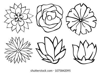 Vector Illustration Flat Line Icon, Sign, Symbol of Flower Collection. Graphic Design Abstract Art, Elements, Isolated, Outline, Silhouette, Logo, Object, for Poster and Print.