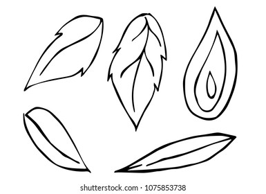 Vector Illustration Flat Line Icon, Sign, Symbol of Leaf Collection. Graphic Design Abstract Art, Elements, Isolated, Outline, Silhouette, Logo, Object, for Poster and Print.