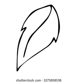Vector Illustration Flat Line Icon, Sign, Symbol of Leaf. Graphic Design Abstract Art, Elements, Isolated, Outline, Silhouette, Logo, Object, for Poster and Print.