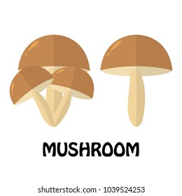 Vector Illustration Flat Mushroom isolated on white background , Raw materials fresh vegetable