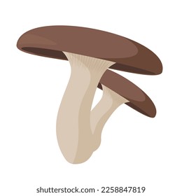 Ilustración vectorial de hongos planos.