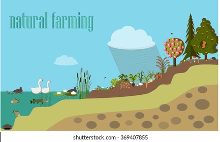 vector illustration, flat, natural farming smarter,  info-graphics