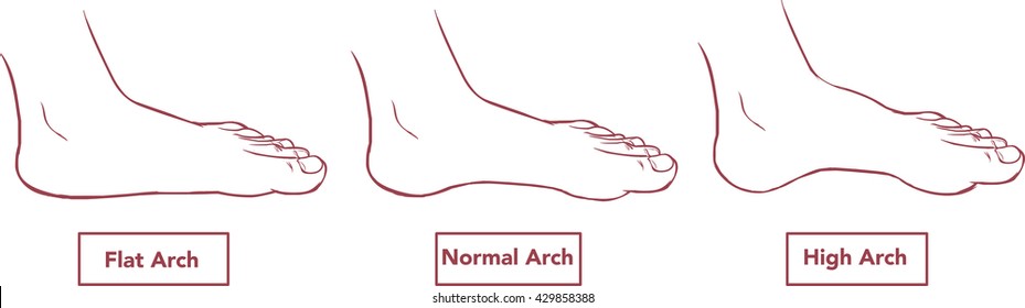 Vector Illustration Flat Normal Feet Stock Vector (Royalty Free ...