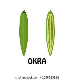 Vector Illustration Flat Okra isolated on white background , Raw materials fresh vegetable