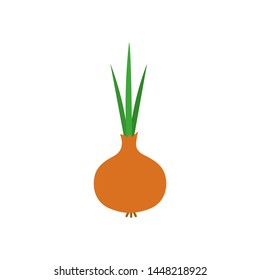 Vector illustration of flat onion. Onion icon.