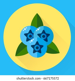 vector illustration, flat round icon blueberries, blue berries with green leaves