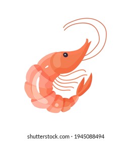 vector illustration flat shrimp icon realistic