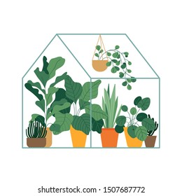 Vector illustration in flat simple style - greenhouse with plants, stylish urban jungle poster or print for home gardening