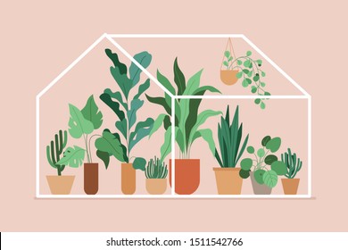 Vector illustration in flat simple style - greenhouse with plants, stylish urban jungle poster or print for home gardening