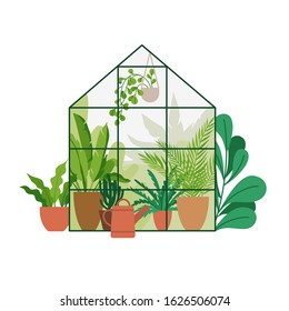 Vector illustration in flat simple style - greenhouse with plants, stylish urban jungle poster or print for home gardening