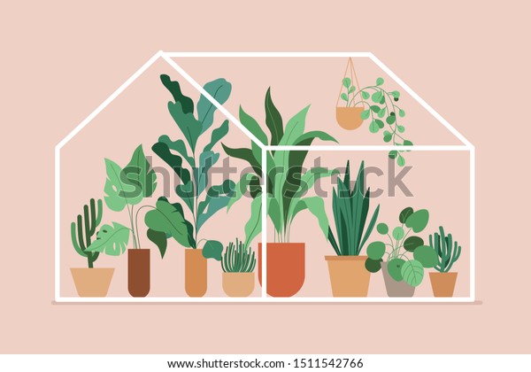 平らなシンプルなスタイルのベクターイラスト 植物と温室 スタイリッシュな都市のジャングルのポスター 家庭の園芸用プリント のベクター画像素材 ロイヤリティフリー