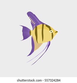 Vector illustration in flat style angelfish