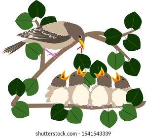 Vector illustration in flat style. A bird feeds four chicks sitting on a tree branch