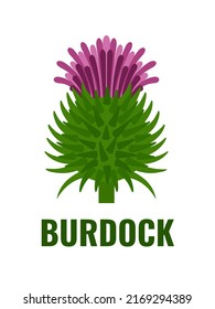 Vector illustration, flat style Burdock flower, isolated on a white background, suitable for labels, medical herbal products and cosmetics.