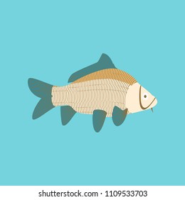 Vector illustration in flat style carp