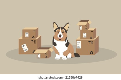 vector illustration in flat style - corgi dog sitting surrounded by cardboard boxes