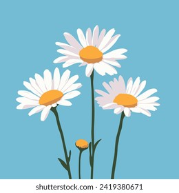 Vector illustration, flat style. Delicate bouquet of daisies. Wildflowers