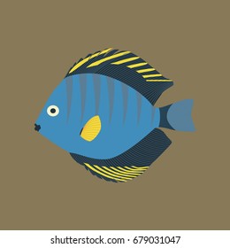 Vector illustration in flat style discus fish