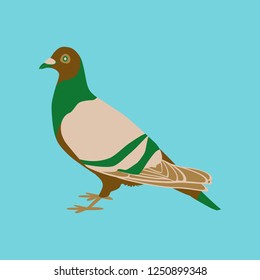 Vector illustration in flat style of dove