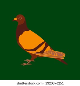 Vector illustration in flat style of dove
