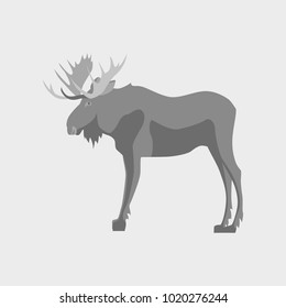 Vector illustration in flat style Elk