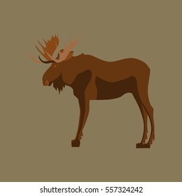 Vector illustration in flat style Elk