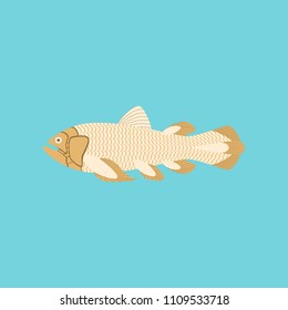 Vector illustration in flat style fish Coelacanth