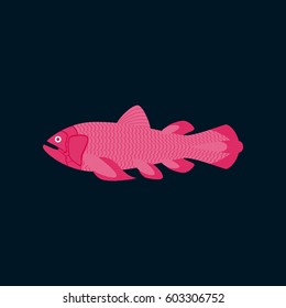 Vector illustration in flat style fish Coelacanth