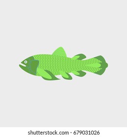 Vector illustration in flat style fish Coelacanth