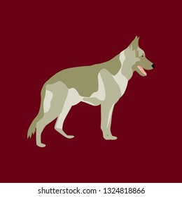 Vector illustration in flat style German Shepherd